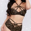 Dreamgirl Straps And Lace Bra Set 1 Dreamgirl Straps And Lace Bra Set -Forplay Shop DG 12354 Black Front 2021JUL34818