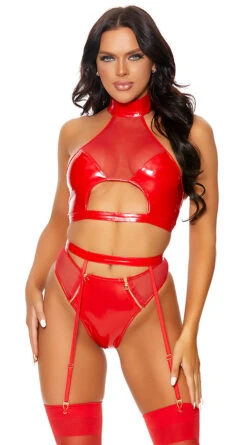 Forplay Slick Seduction Bra Set