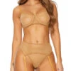 Forplay Neutral Mesh Bra Set -Forplay Shop FP 771639 nude alt1 lg 2021APR29043