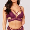 Mila Sensual Lace Bra Set 1 Mila Sensual Lace Bra Set -Forplay Shop OL 40 11181 LACE BRA SET PURPLE 2002
