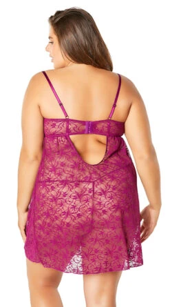 Plus Size Abelina Lace Empire Waist Babydoll Set -Forplay Shop OL 75 10853X AMH BACK HR 2018OCT