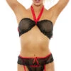 Fishnet And Lace Bra And Garter Set -Forplay Shop PO 910 b 2 dn 2022AUGUST48183