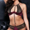 Lace Harness Bra Set -Forplay Shop XG VIP 1012 WINE F 2021JUNE34983