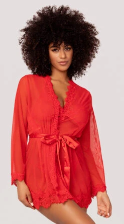 Yandy Simply Sexy Robe And Bra Set 13 Yandy Simply Sexy Robe And Bra Set -Forplay Shop YDR YNDY 003 BRA PANTY ROBE SET RED 46