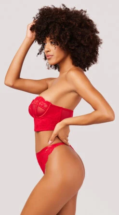 Yandy Stunning Longline Bra Set -Forplay Shop YO 40 11663 LACE MESH STRAPLESS BRA SET RED 2887